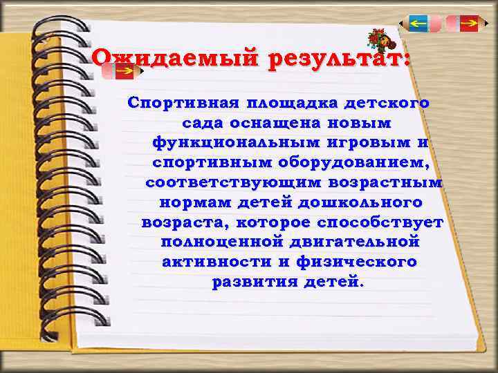 Ожидаемый результат: Спортивная площадка детского сада оснащена новым функциональным игровым и спортивным оборудованием, соответствующим