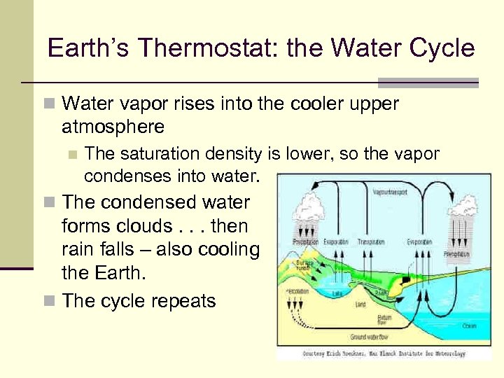 Earth’s Thermostat: the Water Cycle n Water vapor rises into the cooler upper atmosphere