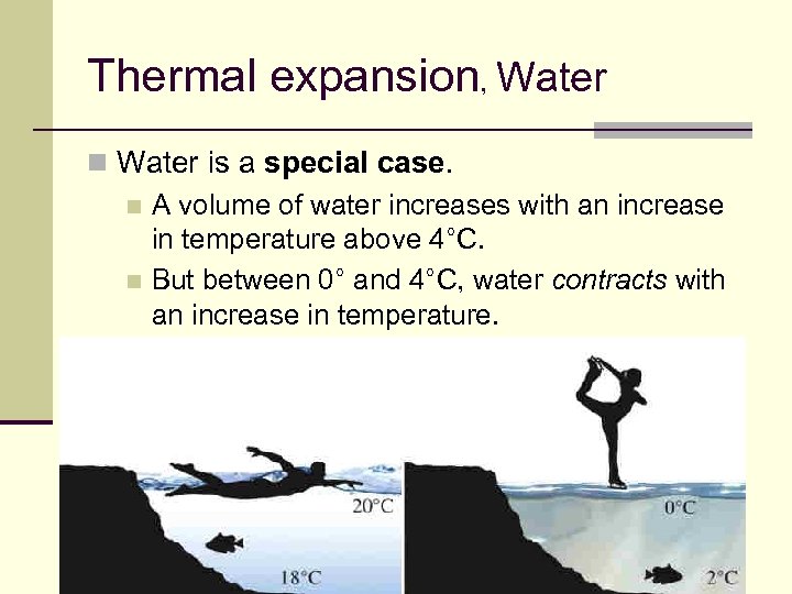 Thermal expansion, Water n Water is a special case. n A volume of water