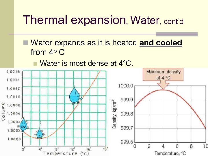 Thermal expansion, Water, cont’d n Water expands as it is heated and cooled from