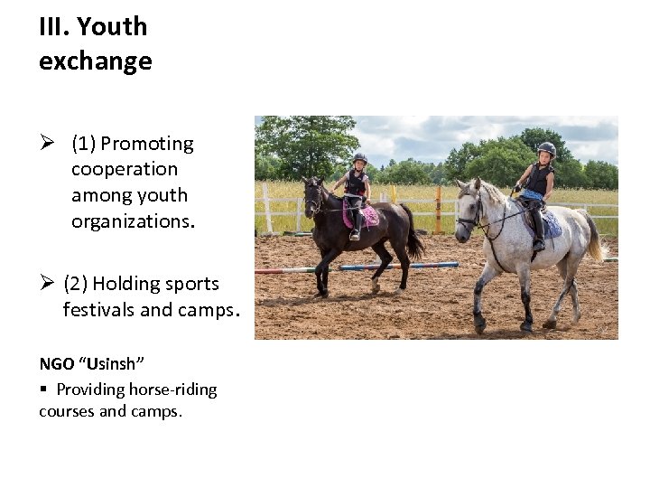 III. Youth exchange Ø (1) Promoting cooperation among youth organizations. Ø (2) Holding sports