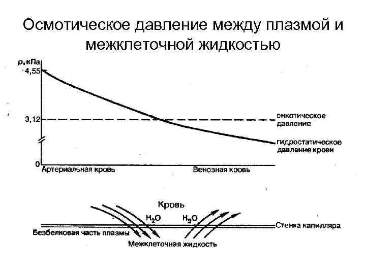 Осмотическое давление между плазмой и межклеточной жидкостью 