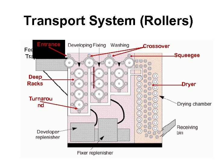 Transport System (Rollers) Feed Tray Entrance Deep Racks Turnarou nd Crossover Squeegee Dryer 