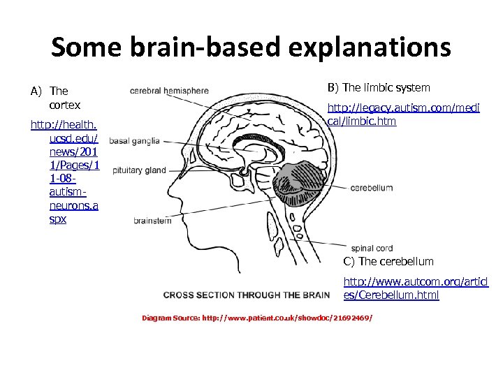 Some brain-based explanations A) The cortex http: //health. ucsd. edu/ news/201 1/Pages/1 1 -08