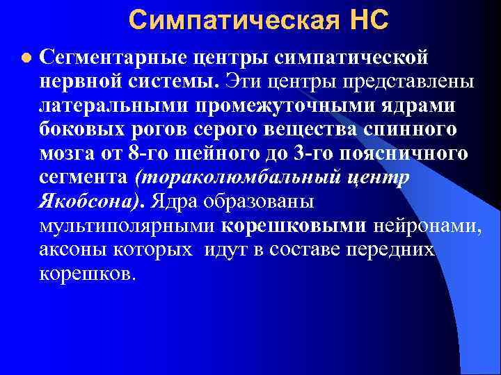 Симпатическая НС l Сегментарные центры симпатической нервной системы. Эти центры представлены латеральными промежуточными ядрами