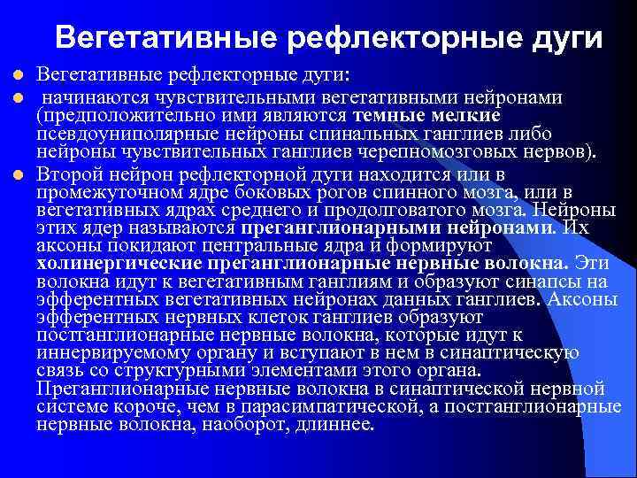 Вегетативные рефлекторные дуги l l l Вегетативные рефлекторные дуги: начинаются чувствительными вегетативными нейронами (предположительно