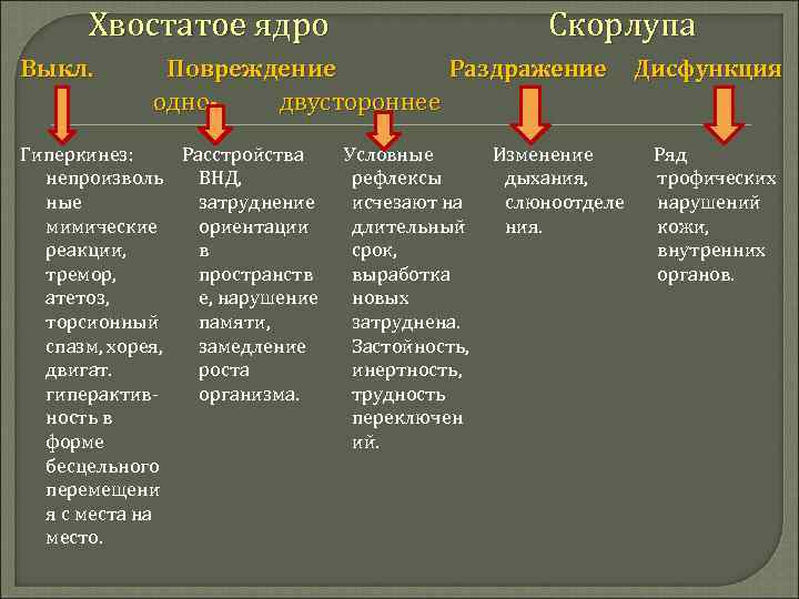 Хвостатое ядро Выкл. Скорлупа Повреждение Раздражение однодвустороннее Гиперкинез: Расстройства непроизволь ВНД, ные затруднение мимические