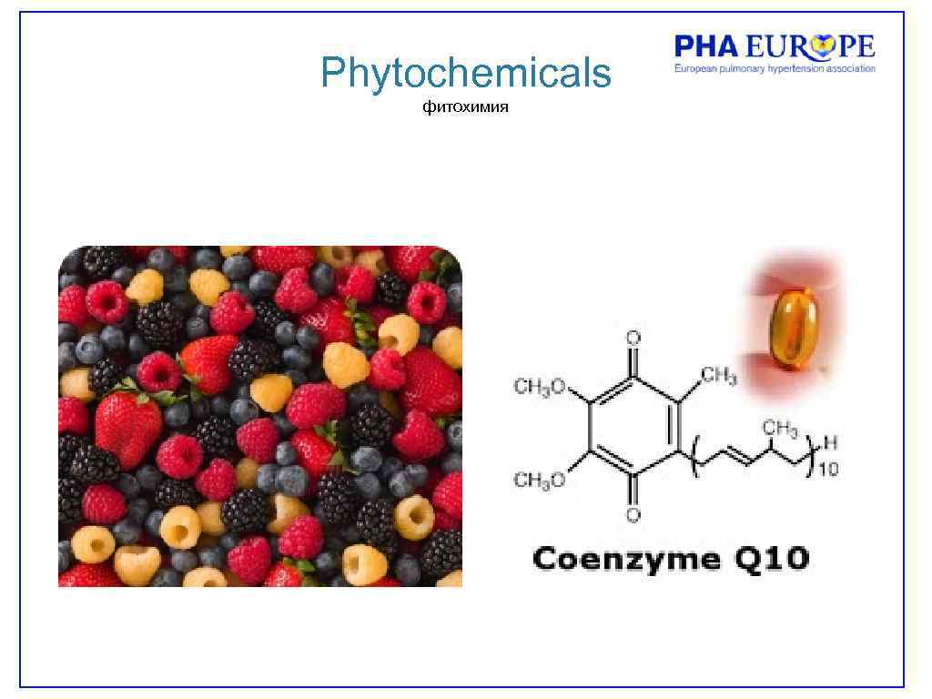 Phytochemicals фитохимия 
