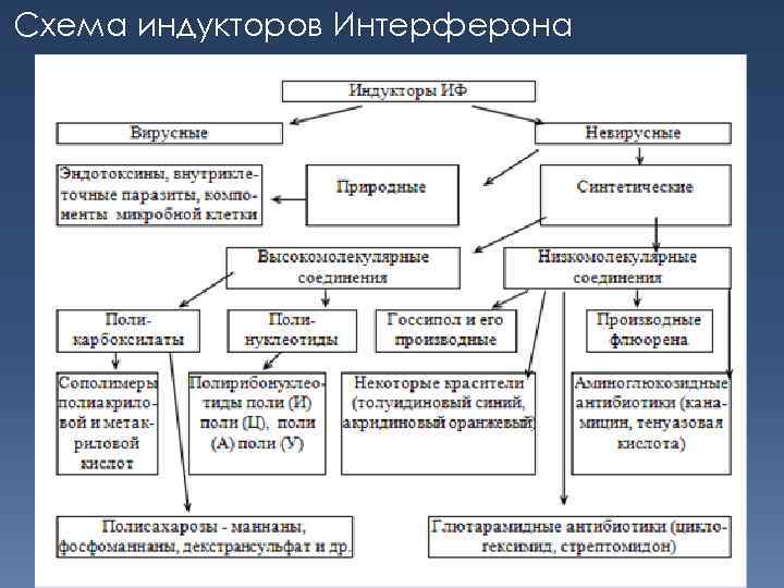 Схема индукторов Интерферона 