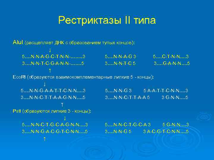 Рестриктазы II типа Alu. I (расщепляет ДНК с образованием тупых концов): ↓ 5…. N-N-A-G-C-T-N-N-…….