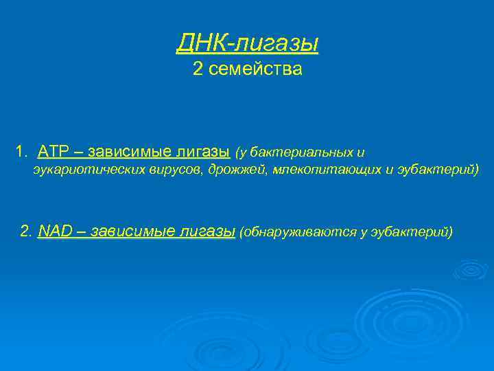 ДНК-лигазы 2 семейства 1. АТР – зависимые лигазы (у бактериальных и эукариотических вирусов, дрожжей,