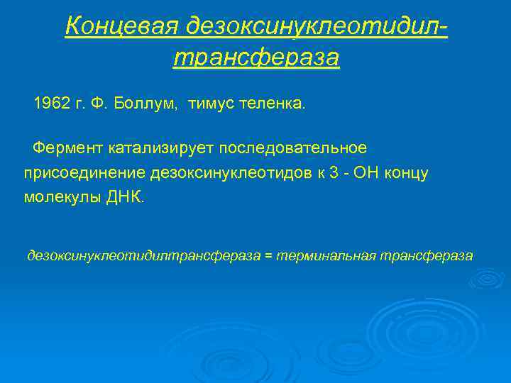 Концевая дезоксинуклеотидилтрансфераза 1962 г. Ф. Боллум, тимус теленка. Фермент катализирует последовательное присоединение дезоксинуклеотидов к