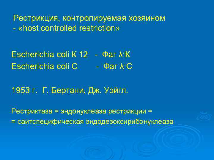 Рестрикция, контролируемая хозяином - «host controlled restriction» Escherichia coli К 12 - Фаг λ·К