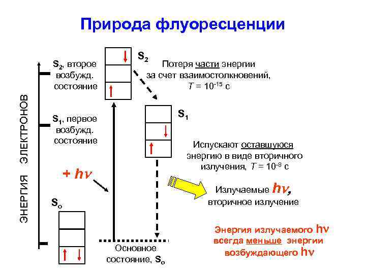 Природа флуоресценции ЭНЕРГИЯ ЭЛЕКТРОНОВ S 2, второе возбужд. состояние S 2 Потеря части энергии