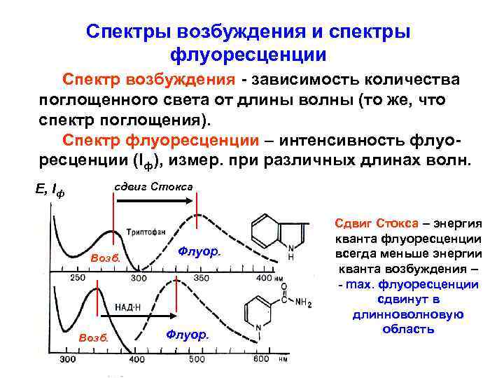 Спектры возбуждения и спектры флуоресценции Спектр возбуждения - зависимость количества поглощенного света от длины