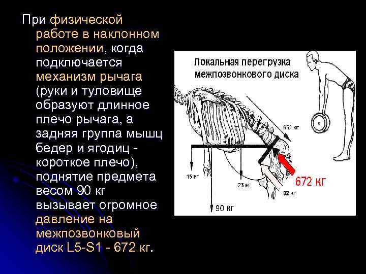 При физической работе в наклонном положении, когда подключается механизм рычага (руки и туловище образуют