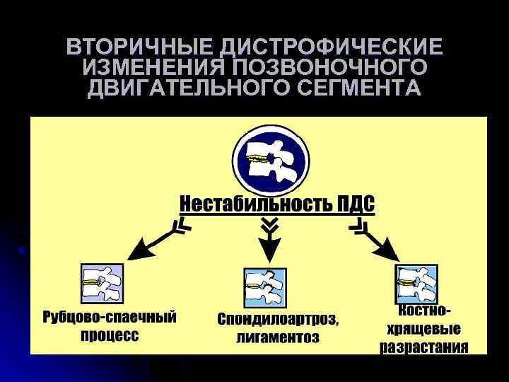 ВТОРИЧНЫЕ ДИСТРОФИЧЕСКИЕ ИЗМЕНЕНИЯ ПОЗВОНОЧНОГО ДВИГАТЕЛЬНОГО СЕГМЕНТА 