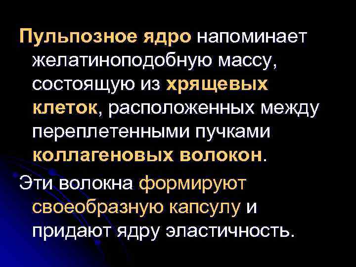 Пульпозное ядро напоминает желатиноподобную массу, состоящую из хрящевых клеток, расположенных между переплетенными пучками коллагеновых