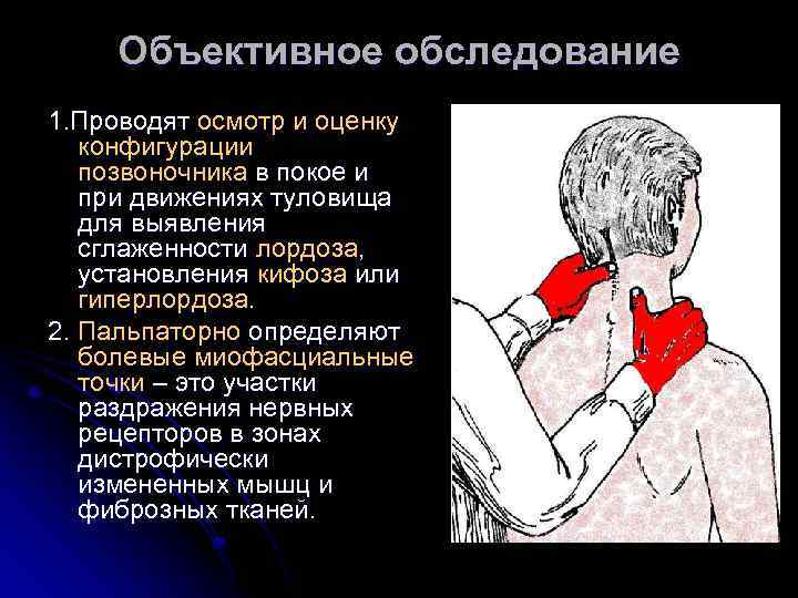 Объективное обследование 1. Проводят осмотр и оценку конфигурации позвоночника в покое и при движениях