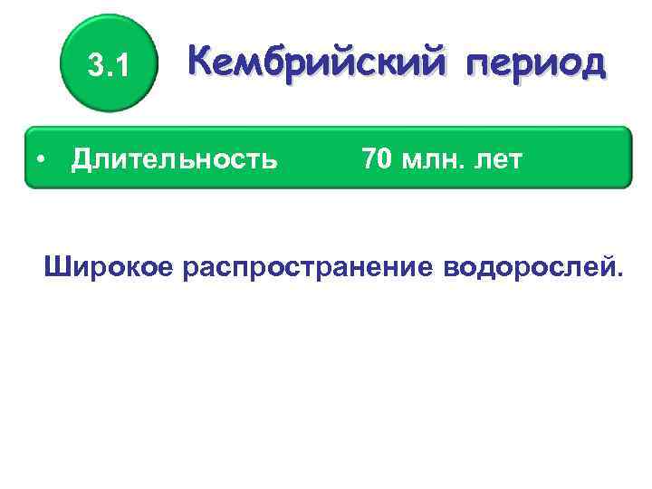 3. 1 Кембрийский период • Длительность 70 млн. лет Широкое распространение водорослей. 