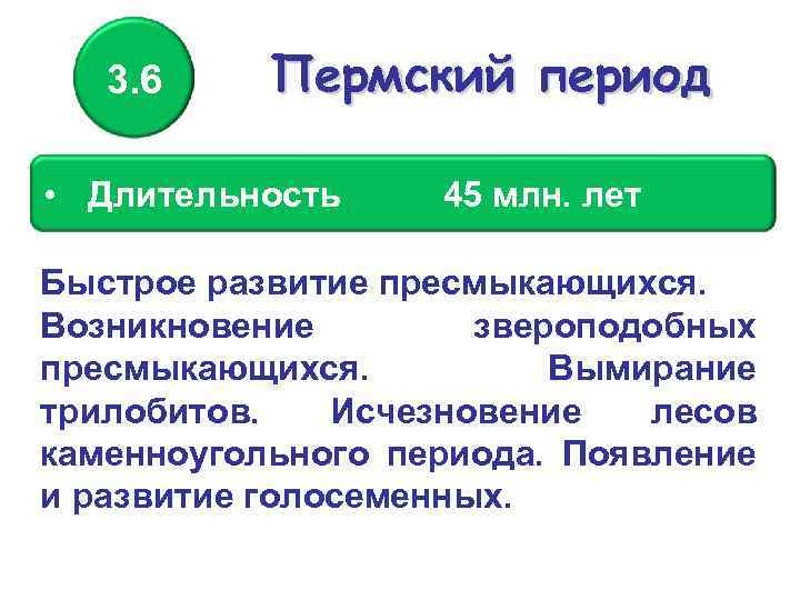 3. 6 Пермский период • Длительность 45 млн. лет Быстрое развитие пресмыкающихся. Возникновение звероподобных