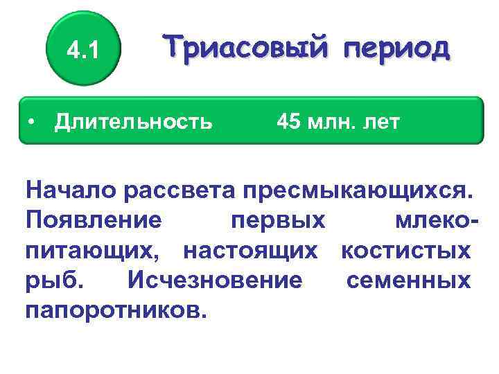 4. 1 Триасовый период • Длительность 45 млн. лет Начало рассвета пресмыкающихся. Появление первых