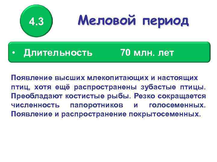 4. 3 Меловой период • Длительность 70 млн. лет Появление высших млекопитающих и настоящих