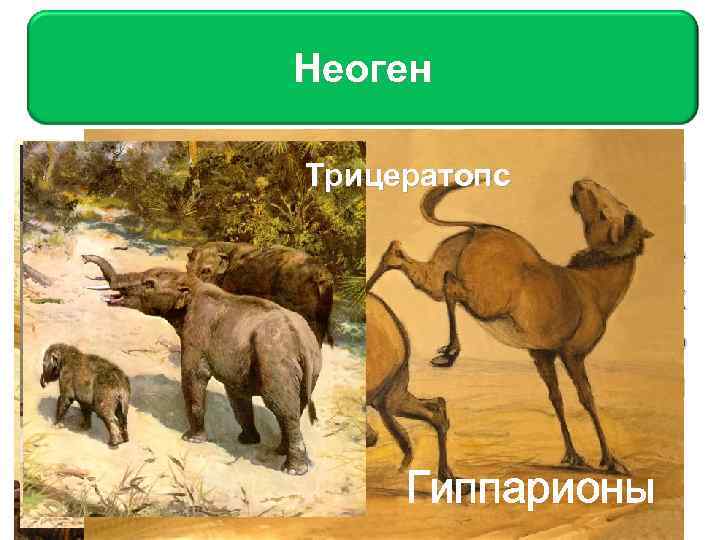 Неоген Меловой период. Палеоген Млекопитающие осваивают моря и Трицератопс Но есть отличия — ещё