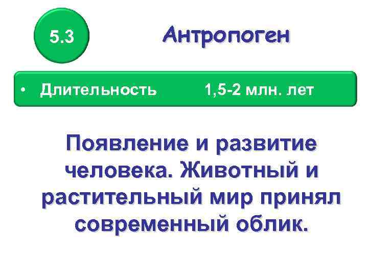 5. 3 • Длительность Антропоген 1, 5 -2 млн. лет Появление и развитие человека.