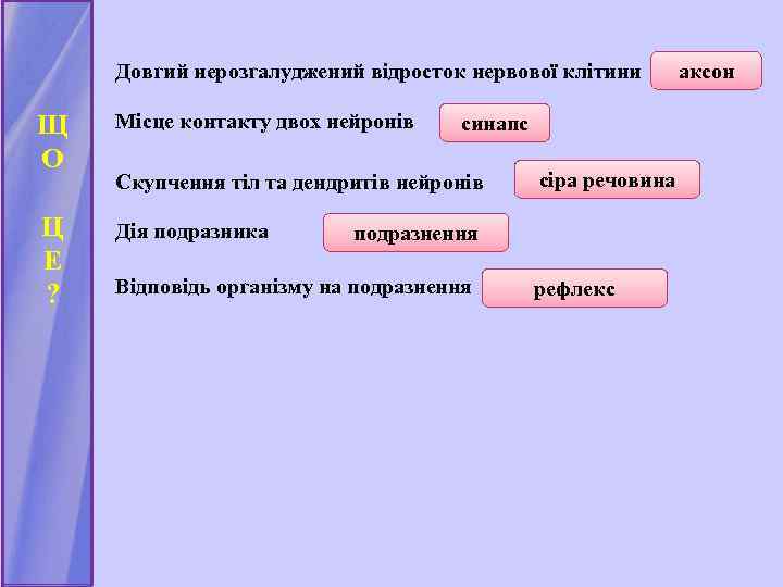 Довгий нерозгалуджений відросток нервової клітини Щ О Місце контакту двох нейронів Ц Е ?