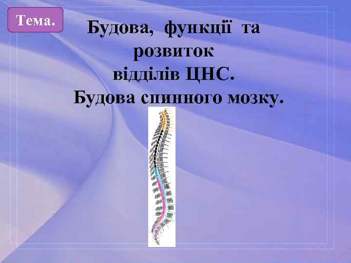 Тема. Будова, функції та розвиток відділів ЦНС. Будова спинного мозку. 