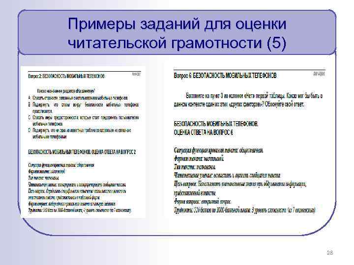 Примеры заданий для оценки читательской грамотности (5) 28 