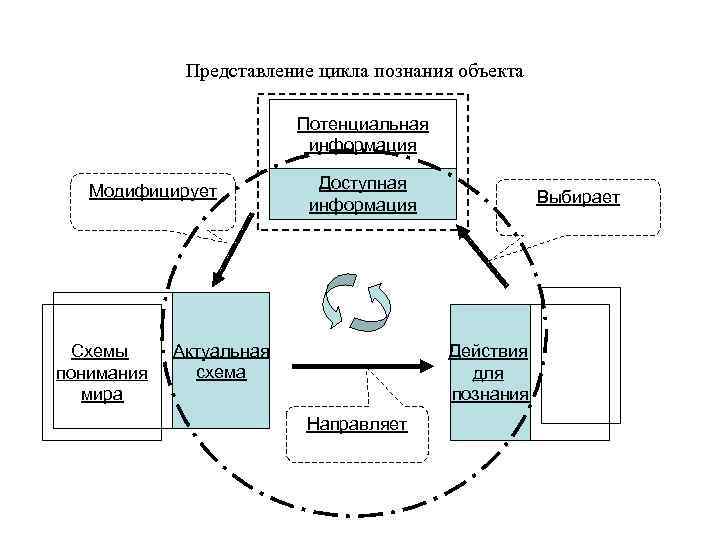 Представление цикла познания объекта Потенциальная информация Модифицирует Схемы понимания мира Доступная информация Актуальная схема
