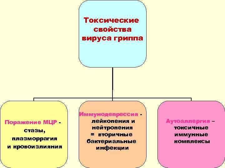 Токсические свойства вируса гриппа Поражение МЦР стазы, плазморрагия и кровоизлияния Иммунодепрессия лейкопения и нейтропения