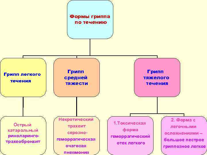 Формы гриппа по течению Грипп легкого течения Острый катаральный риноларинготрахеобронхит Грипп средней тяжести Некротический