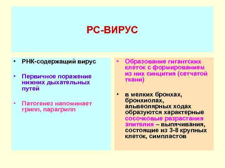 РС-ВИРУС • РНК-содержащий вирус • Первичное поражение нижних дыхательных путей • Патогенез напоминает грипп,