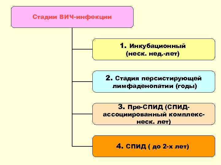 Стадии ВИЧ-инфекции 1. Инкубационный (неск. нед. -лет) 2. Стадия персистирующей лимфаденопатии (годы) 3. Пре-СПИД