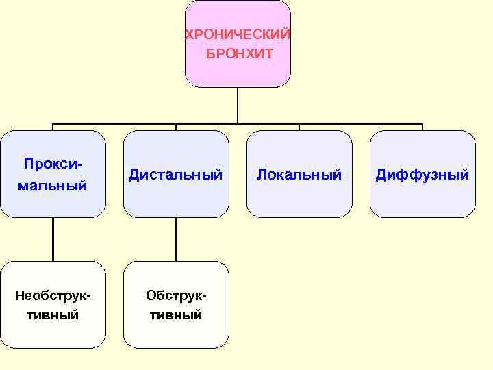 ХРОНИЧЕСКИЙ БРОНХИТ Проксимальный Дистальный Необструктивный Обструктивный Локальный Диффузный 