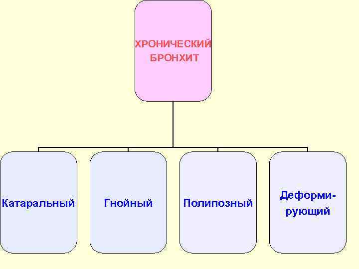 ХРОНИЧЕСКИЙ БРОНХИТ Катаральный Гнойный Полипозный Деформирующий 