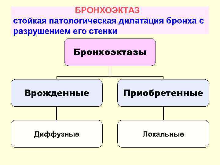 БРОНХОЭКТАЗ стойкая патологическая дилатация бронха с разрушением его стенки Бронхоэктазы Врожденные Приобретенные Диффузные Локальные