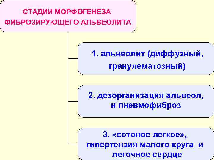 СТАДИИ МОРФОГЕНЕЗА ФИБРОЗИРУЮЩЕГО АЛЬВЕОЛИТА 1. альвеолит (диффузный, гранулематозный) 2. дезорганизация альвеол, и пневмофиброз 3.