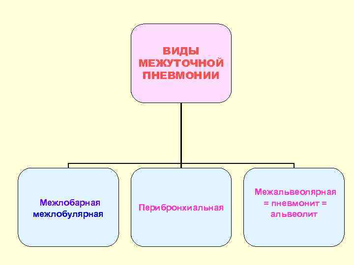 ВИДЫ МЕЖУТОЧНОЙ ПНЕВМОНИИ Межлобарная межлобулярная Перибронхиальная Межальвеолярная = пневмонит = альвеолит 