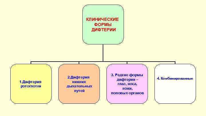 КЛИНИЧЕСКИЕ ФОРМЫ ДИФТЕРИИ 1. Дифтерия ротоглотки 2. Дифтерия нижних дыхательных путей 3. Редкие формы