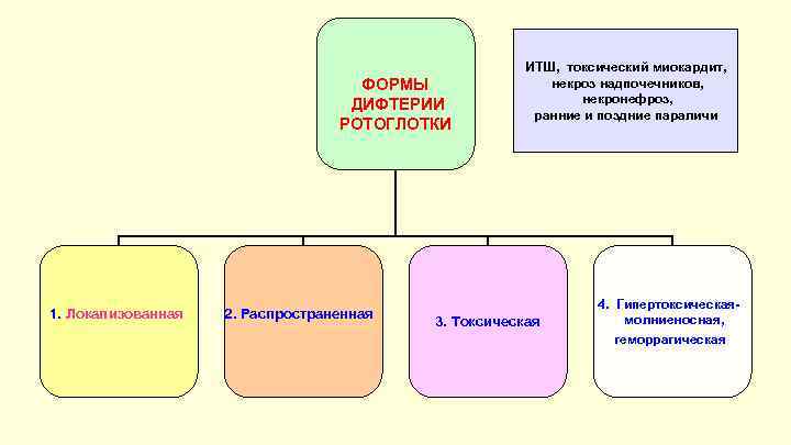 ФОРМЫ ДИФТЕРИИ РОТОГЛОТКИ 1. Локализованная 2. Распространенная ИТШ, токсический миокардит, некроз надпочечников, некронефроз, ранние