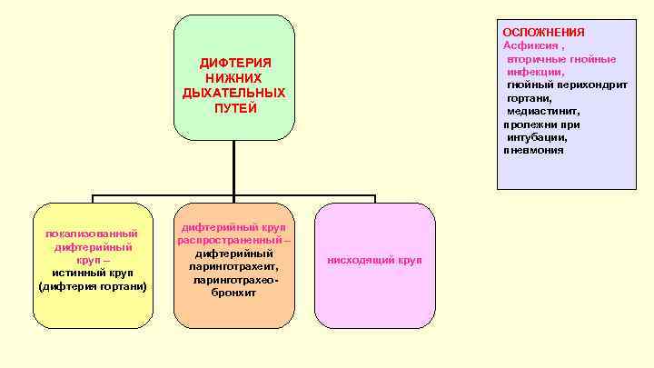 ОСЛОЖНЕНИЯ Асфиксия , вторичные гнойные инфекции, гнойный перихондрит гортани, медиастинит, пролежни при интубации, пневмония