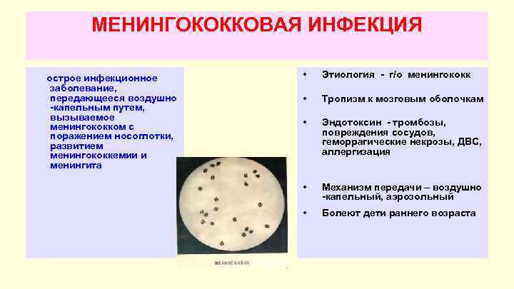 Для менингококковой инфекции характерны