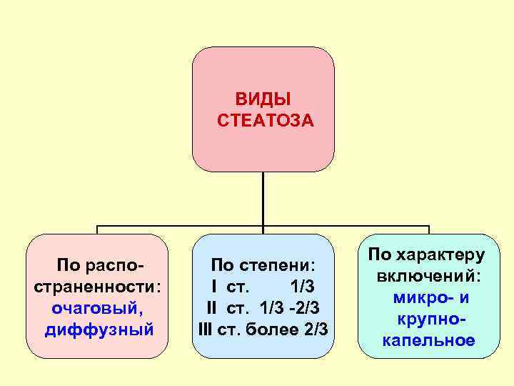 ВИДЫ СТЕАТОЗА По распостраненности: очаговый, диффузный По степени: I ст. 1/3 II ст. 1/3