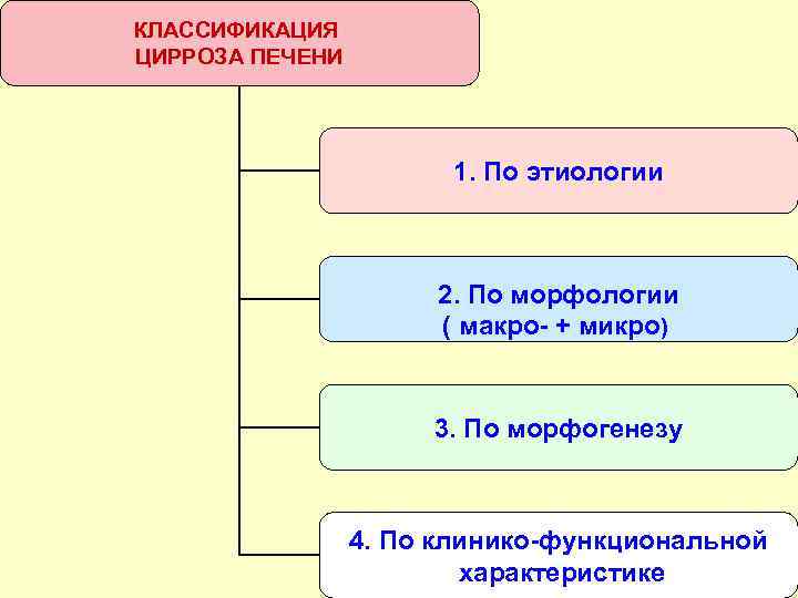 КЛАССИФИКАЦИЯ ЦИРРОЗА ПЕЧЕНИ 1. По этиологии 2. По морфологии ( макро- + микро) 3.