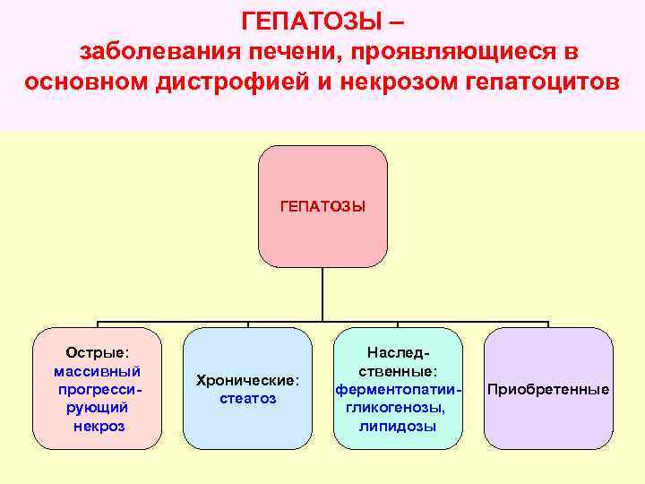 ГЕПАТОЗЫ – заболевания печени, проявляющиеся в основном дистрофией и некрозом гепатоцитов ГЕПАТОЗЫ Острые: массивный