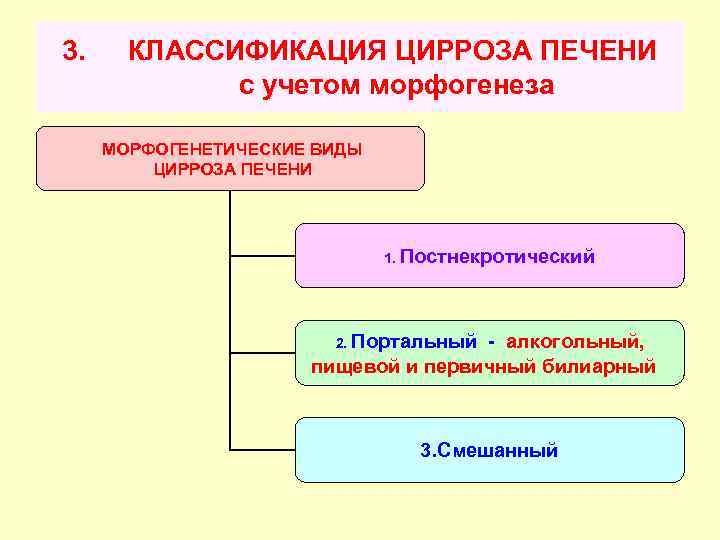 3. КЛАССИФИКАЦИЯ ЦИРРОЗА ПЕЧЕНИ с учетом морфогенеза МОРФОГЕНЕТИЧЕСКИЕ ВИДЫ ЦИРРОЗА ПЕЧЕНИ 1. Постнекротический 2.